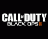 Call of Duty Black Ops 2 mini