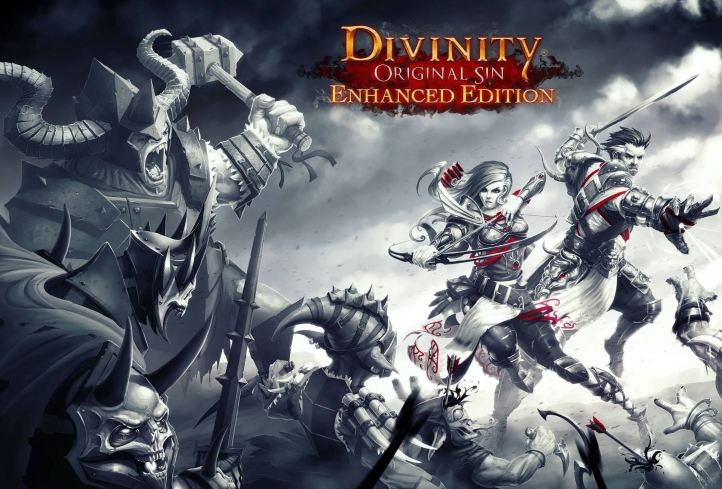 Divinity: Original Sin Enhanced Edition 