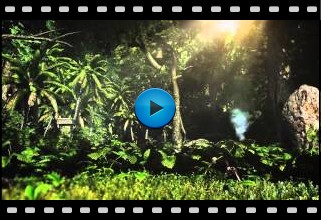 Assassins Creed-4 Black Flag Video-2