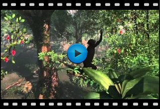 Assassins Creed-4 Black Flag Video-50