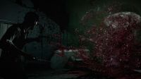 The Evil Within-5