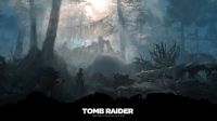 Tomb raider 8