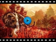 Far Cry 4 Video-21
